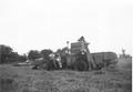 Ih No. 22 Combine In Action, 1954. - My Dad combining wheat with an Oliver 70 tractor pulling a IH No. 22 combine, Clinton Co, Mich, 1954.  Combine has been modified for 1-man operation by removing seat and front-wheel dolly, and Dad is standing on the drawbar so he can reach the combine header lever.  