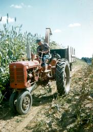 1952 Farmall Super C Pulling Chopper - This picture was taken sometime after 1952 on the Harlan Williams farm in West Harrison, IN.  Super C is pulling a Case chopper that is chopping Sorghum.  Driver is Glenn H. Williams.