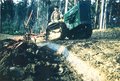 1953 John Deere 40C - Australia .. This is my father inlaws 1953 crawler plowing a paddock in the late 50s i think. He purchased the 40c new in 1955 and still owns it today. Was purchased without blade , has drawbar and pto and was used mostly for plowing and rotary hoe work and potato scuffling on steeper country