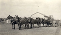 Dad & His Team - WON WITH HIS TEAM AT REGINA SASK FAIR AT THE AGE OF 16