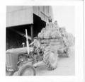 Massey Ferguson 35 - Carting hay at our farm in Wales around 1960.