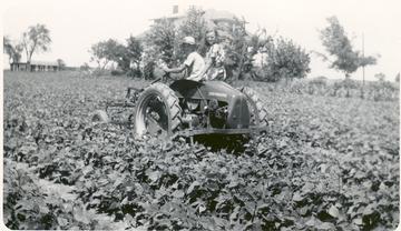 1950 Allis Chalmers G - My Grandfather right, Great Aunt left, out cultivating beans with the G.
