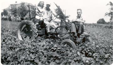 Allis Chalmers G Cultivating - Great Aunt left, Great Grandfather center, Grandfather right. The man in the Middle, My great Grandfather, is the one that started our family Allis tradition, He once tried a JD B but didnt like it because of the loud PUTT, i sure am glad he stuck with Allis, to me there is no better tractor than Allis -Chalmers!