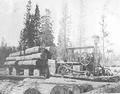 Holt Steam Engine - This is a picture of a Holt steam engine. The man that sent this picture to me thinks that it might have been taken neer Weed, CA around 1904.  If anyone knows any more about this steam engine, I would appreciate some feedback. Thanks!