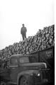 Loading Lumber On A Rail Car - grandfather loading lumber 