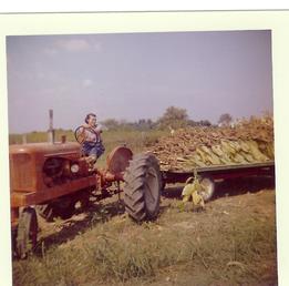 Allis Chalmers WD Unknown Year  - This picture was taken on our family farm in Highland County Ohio in the early 1960's. The woman in the picture is my mother on my father's WD
