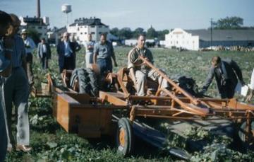 Allis Chalmers G W/Cucumber Harvester 1957 - Pictured is one of the first experimental pickling cucumber harvesters developed in coordination with Michigan State University.  The photo was dated 1957 with the names Peirson