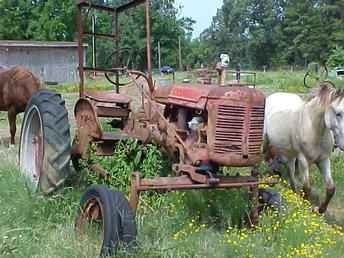 Farmall Av Hi Crop