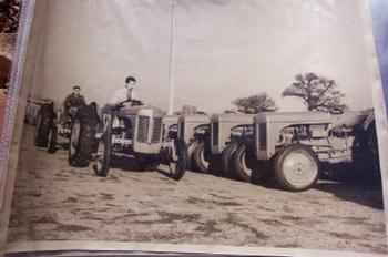 Ferguson Tractors Picture
