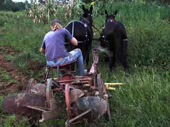 Horsedrawn Oliver 2 Way Plow