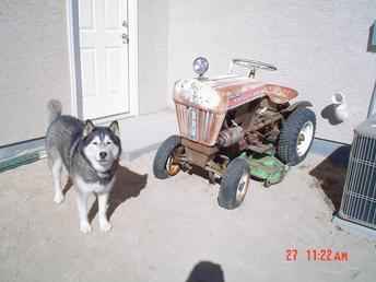 Bolens Husky  (Garden Tractor)