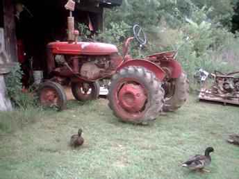 $1150 Farmall A