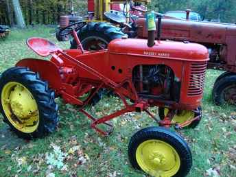 Massey Pony