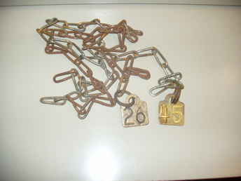 Small Square Cow Tags