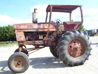 Ihc 1066 High Crop