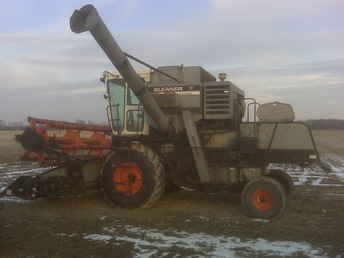 1976 F Gleaner Diesel