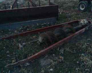 2PT Post Hole Digger For Ih