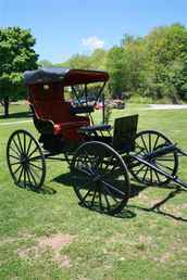 Horse Buggy