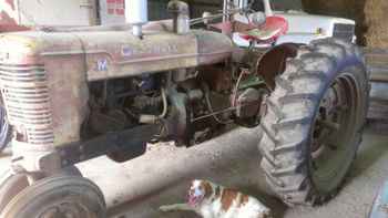 Farmall M Gas Manifold