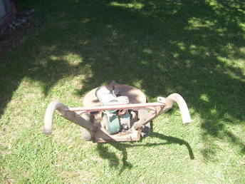 Moz All Mower (Old)