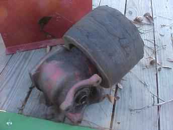 Ford N Series Belt Pulley Assy