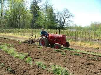 Farmall W4