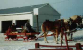 Horse Drawn Bob Sled